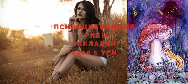 молекула духа Куйбышев