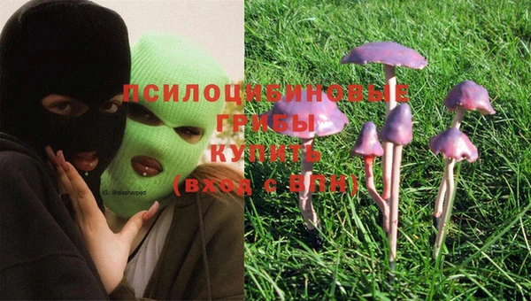 мдма Кулебаки