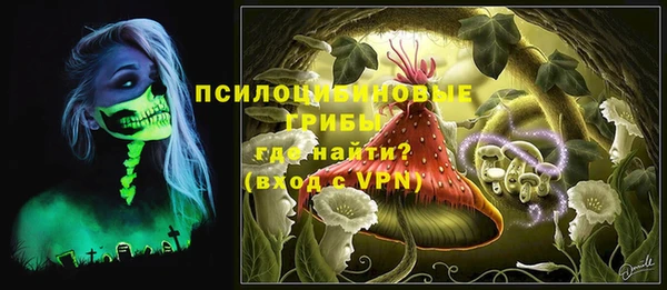 молекула духа Куйбышев