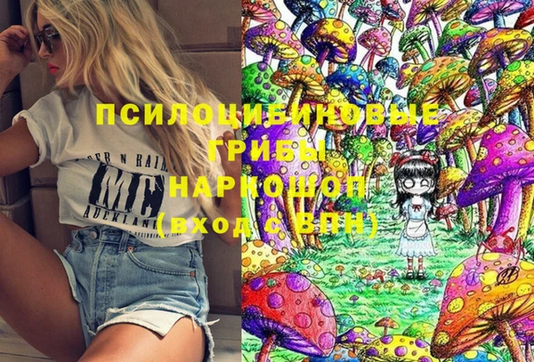 гидра Кукмор
